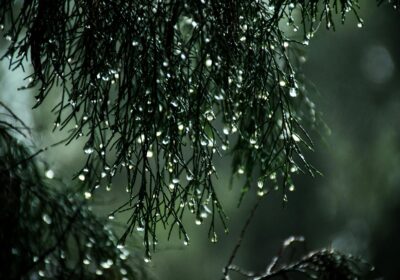 What Spiti feels like in the monsoon: 6 must-do experiences