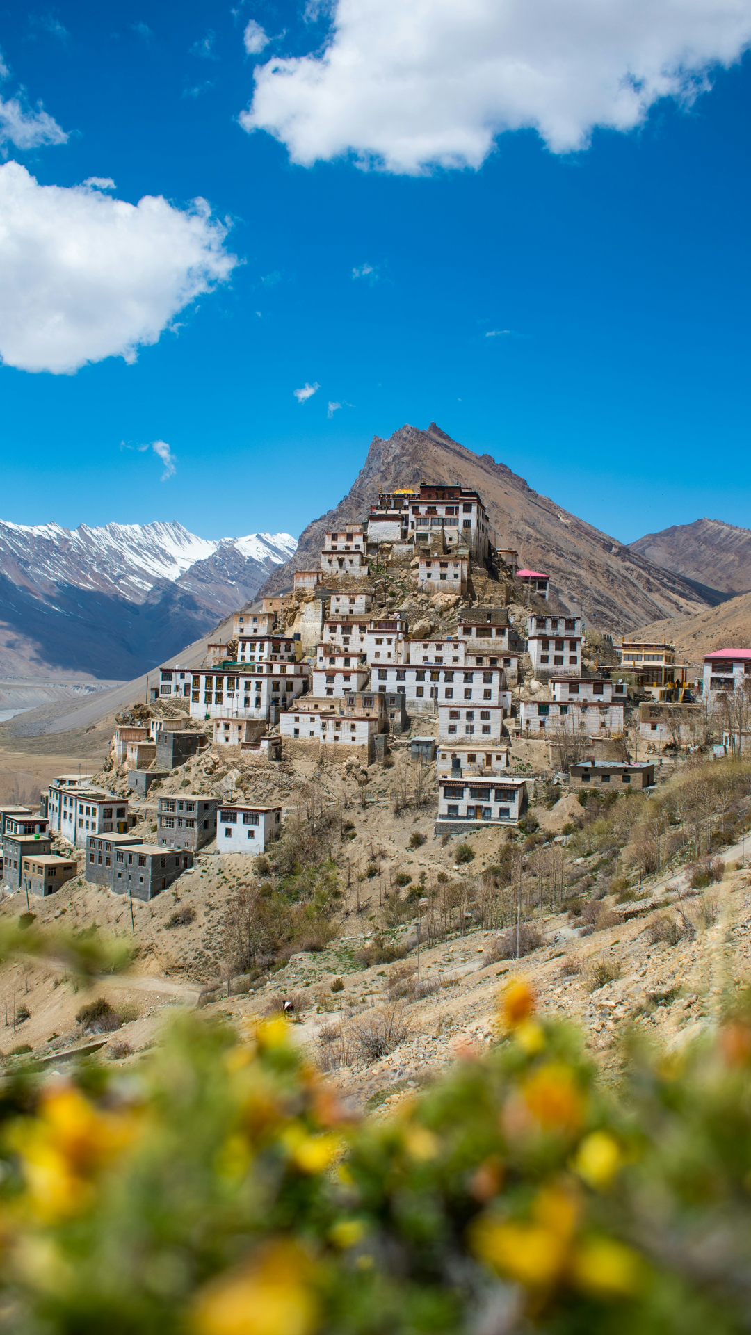spiti2