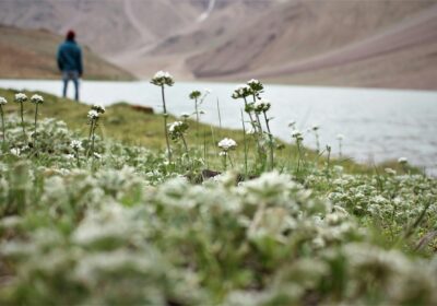 Into The Vastness: Driving Through Spiti’s Stark Beauty And Sacred Stillness