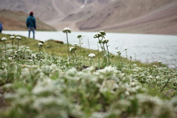 Zanskar Valley